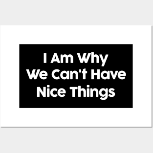 I Am Why We Can't Have Nice Things Funny Posters and Art